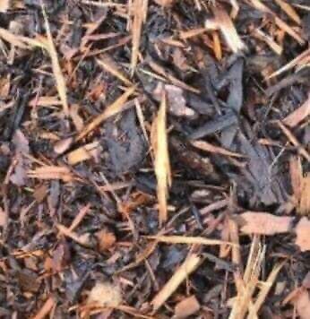 Bark chippings | in New Moston 